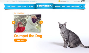 Pawnation